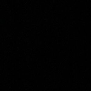 Meet your Posher, Brynn